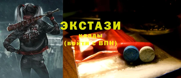 мдпв Вяземский