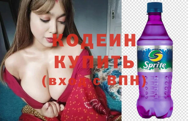 мдпв Вяземский