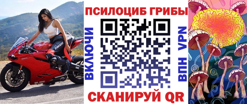 Псилоцибиновые грибы Cubensis  Купить закладки  Козловка 