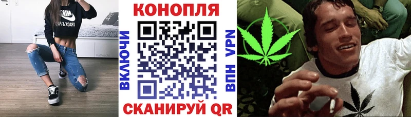 Купить закладки  Козловка  Бошки Шишки White Widow 